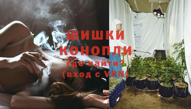 блэк спрут сайт  Белая Холуница  Бошки Шишки THC 21% 